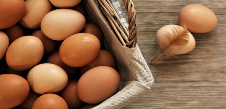 trứng giúp tăng máu lên não