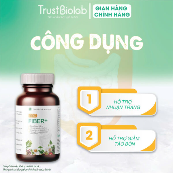 Thực phẩm bảo vệ sức khỏe VIÊN CHẤT XƠ PROFIBER+ Tảo, Diếp cá, Rau má, Cao Phan tả diệp, VitaminB Hỗ trợ nhuận tràng, hỗ trợ giảm táo bón