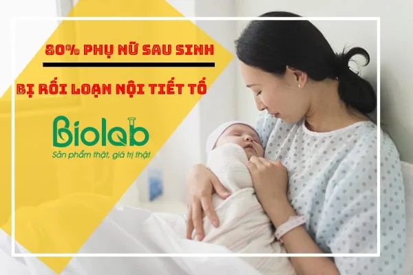 bổ sung thực phẩm cải thiện tình trạng suy giảm nội tiết tố