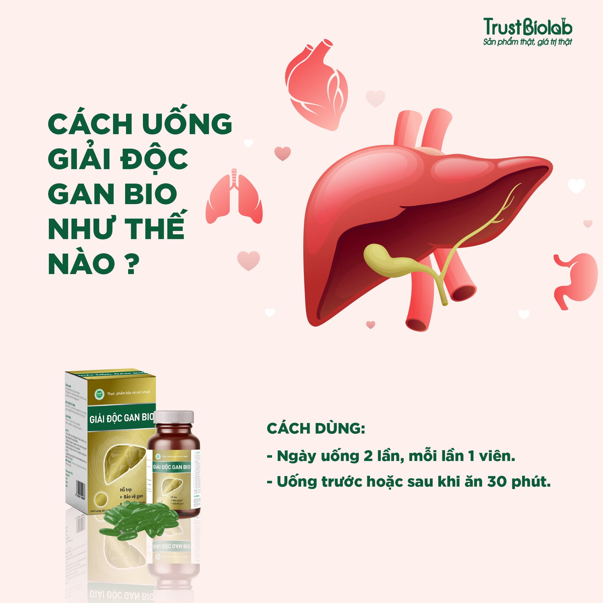 Thực phẩm bảo vệ sức khỏe GIẢI ĐỘC GAN Bio Hỗ trợ giải độc gan, bảo vệ gan, tăng cường chức năng gan
